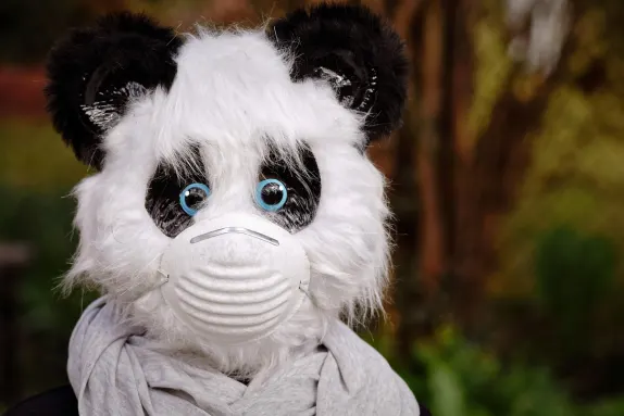 Casino Mars Bet Tacaíocht